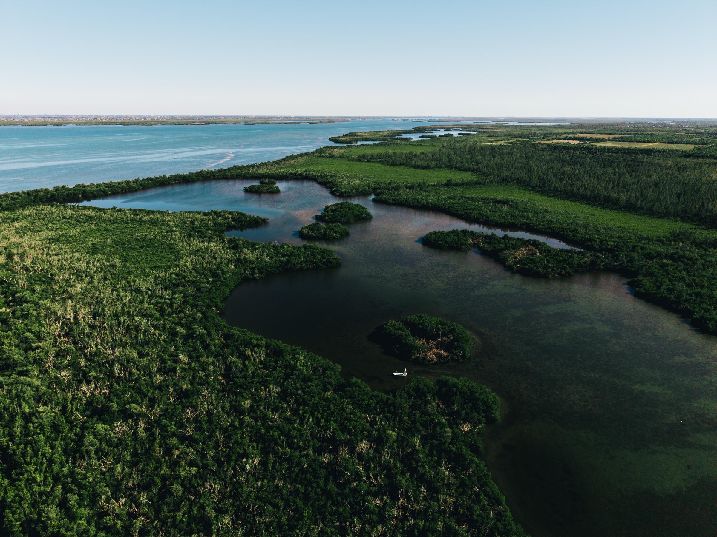 Aerial view of mangrove islands and tidal channels near Pine Island, Florida