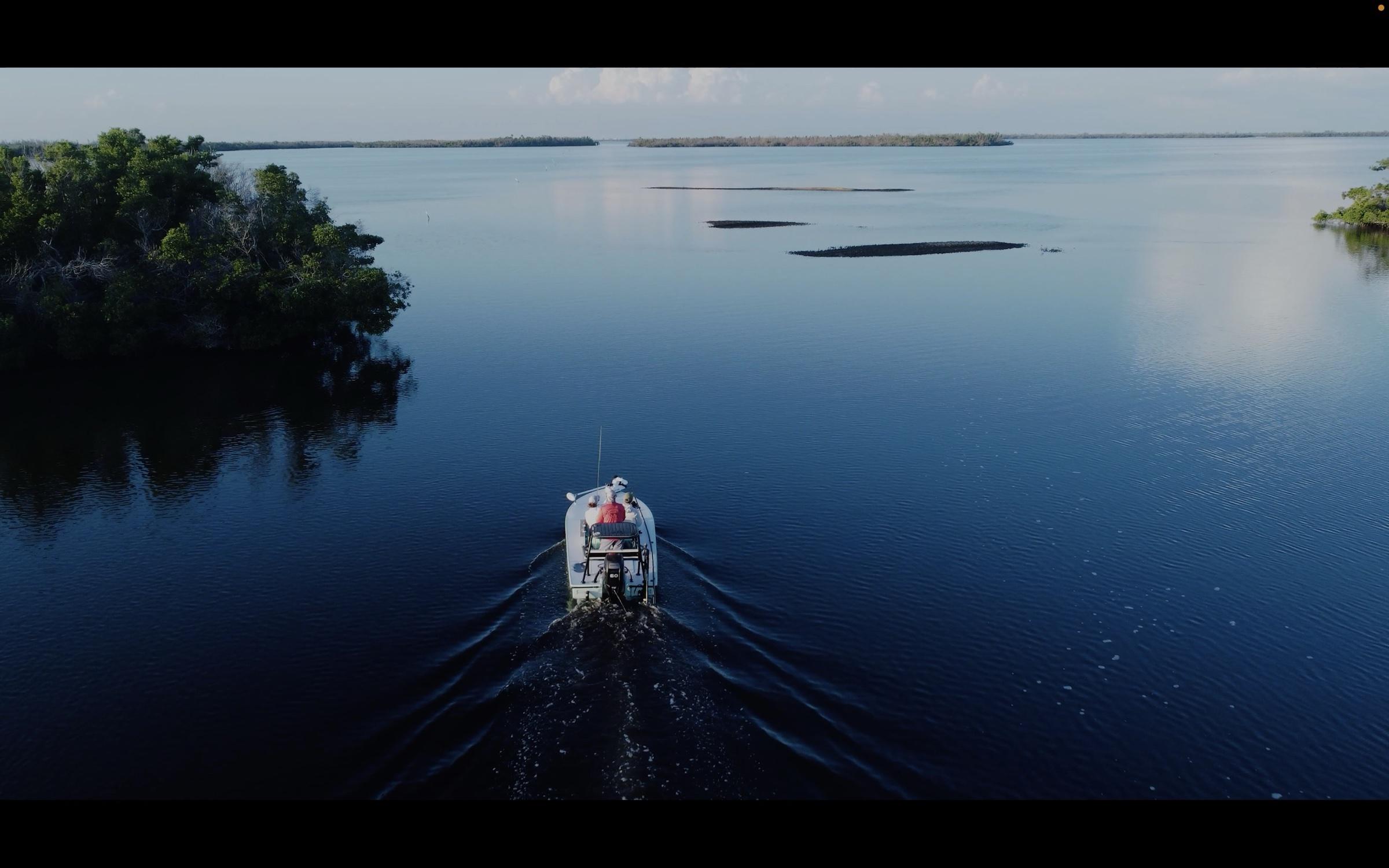 Pine Island on fly