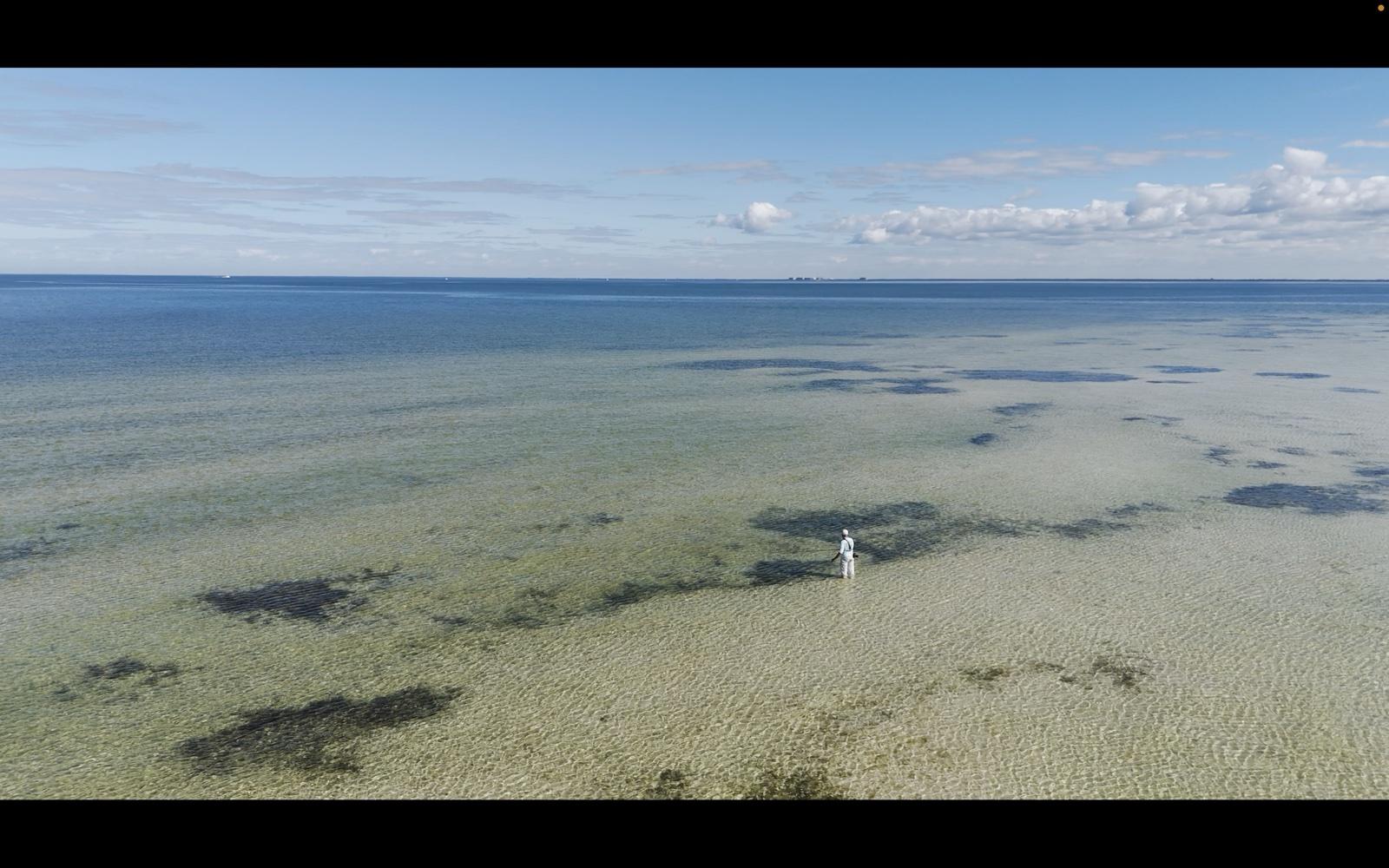 Wading angler on a shallow flat in Southwest Florida
